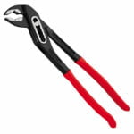 CLESTE PAPAGAL 10 inch